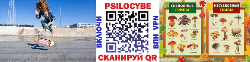 Галлюциногенные грибы ЛСД Котельнич