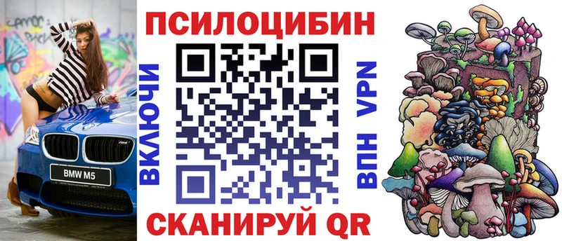 Купить  Котельнич  Галлюциногенные грибы MAGIC MUSHROOMS 