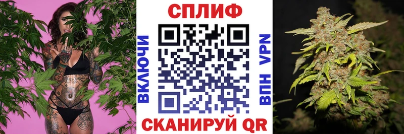 Каннабис SATIVA & INDICA  Купить где  Котельнич 